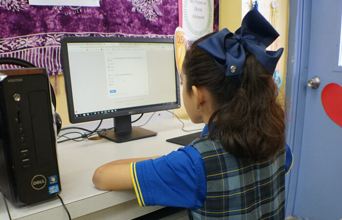 Caribbean School student using computer